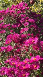 IMG_8231.jpeg