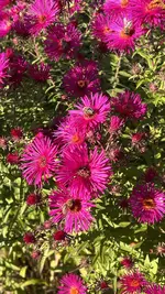 IMG_8235.webp