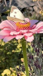 IMG_8230.jpeg