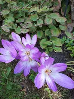 20230924_131118.webp