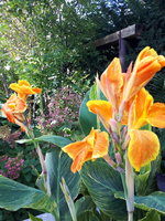 20230924_130638.jpg