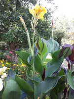 20230924_130911.webp