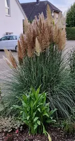 20230917_185218.webp