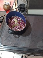 IMG_20230925_143320.jpg