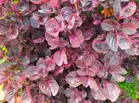 IMG_20230824_132035.webp