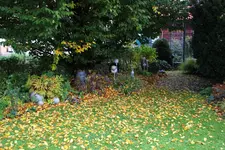 Okt.    1522.webp