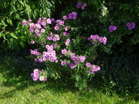 DSC03155.JPG