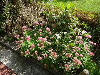 DSC03156.JPG