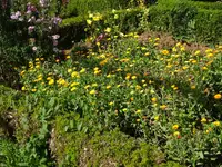 DSC03157.webp