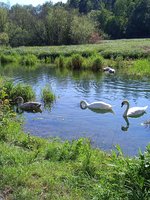 IMG_20230927_143838_1.jpg
