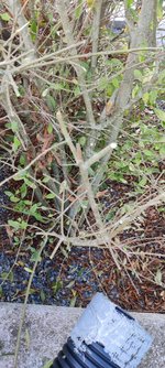 IMG_20230927_175814.jpg