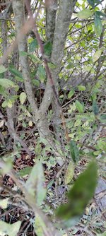 IMG_20230927_181348.jpg