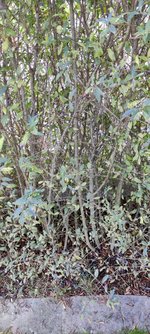 IMG_20230927_181404.jpg