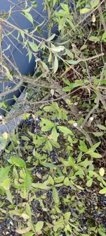 IMG_20230927_181526.webp