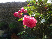 DSC03165.JPG