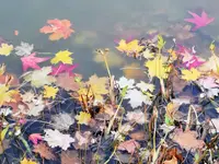 IMG_20211026_165846.webp