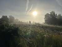 IMG_8962.jpeg