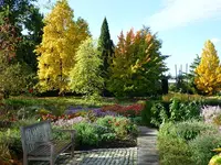 P1010351.webp