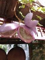 IMG_20230928_150905.jpg