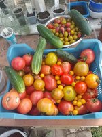 IMG_20230927_121956.jpg