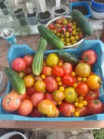 IMG_20230927_121956.webp