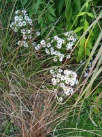 IMG_20230929_161129_1.jpg