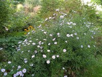 IMG_20230929_161920.jpg