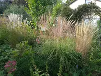 IMG_20230929_161946.jpg