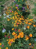 IMG_20230927_134532_1.webp