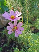 IMG_20230928_081058.jpg