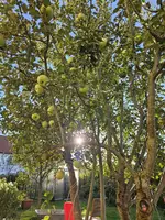 20230929_172725.webp