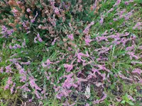 IMG_20230829_125356.webp