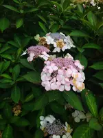 IMG_20230823_125412.webp