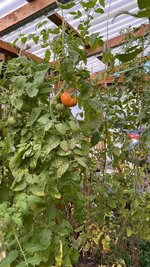 IMG_8263.jpeg