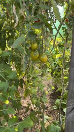 IMG_8281.jpeg