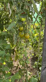 IMG_8281.jpeg