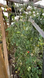 IMG_8280.jpeg