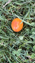 IMG_8289.jpeg