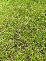 70E49952-96E7-4E88-9398-8A0B8AF8A750.jpeg