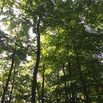 20230930_125035.jpg