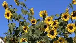IMG_8007.webp