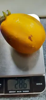 20231001_164207.webp