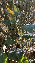 IMG_8297.jpeg