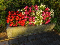 DSC03171.JPG