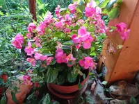 DSC03178.webp