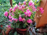 DSC03178.JPG
