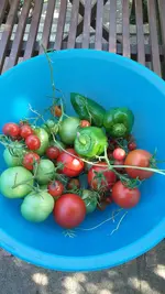 IMG-20231001-WA0001.webp