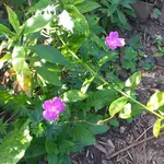 20231002_162806.webp