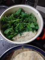 IMG_20231002_191427.jpg