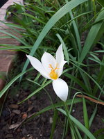 20231003_114207.jpg